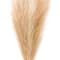 Wispy Pampas Grass Stem by Ashland®